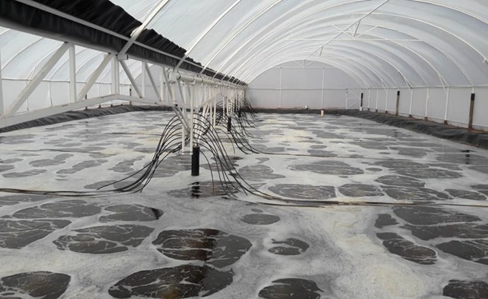 Tecnología Acuícola